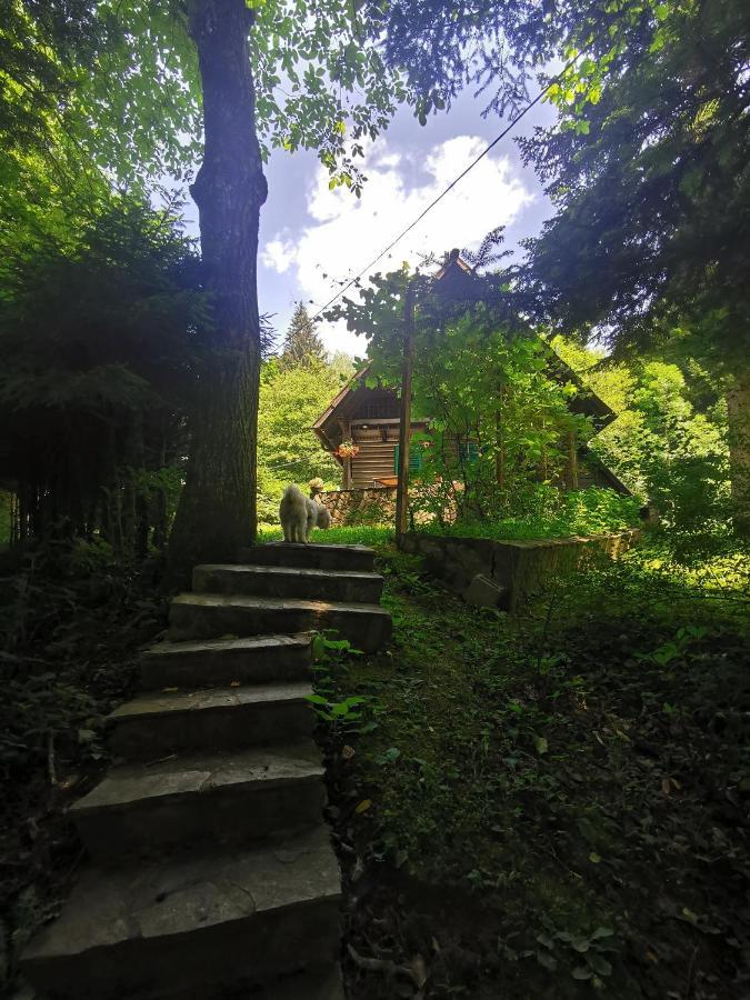Vila Fani, Kostel - Vacation House Pr' Vili Fani Dış mekan fotoğraf
